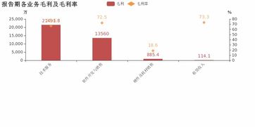博思軟件歸母凈利潤增速56.1%創(chuàng)5年新高，技術服務業(yè)務成利潤增長核心引擎